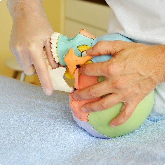 Dentist using skull model to explain equilibration and occlusal adjustment